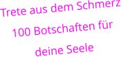 Trete aus dem Schmerz 100 Botschaften fr  deine Seele